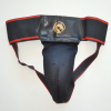 suspensoarer 11